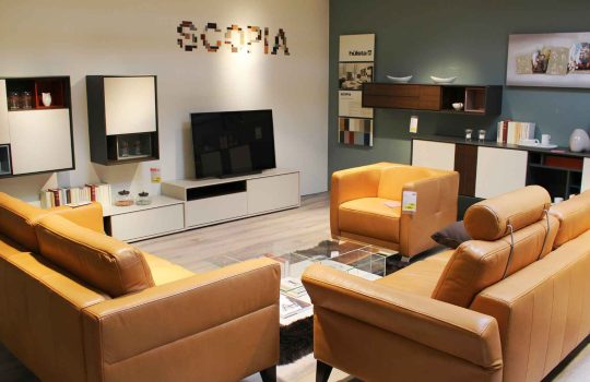 מתקני תצוגה2